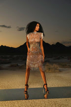 Emily Embellished Dress